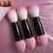 Dual End Makeup Brush Set with Powder Puff for Flawless Blending