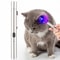 UV Flashlight Woods Lamp Cat Urine Detector Fluorescent Inspection Light 0
