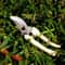 Stainless Steel Pruning Shears For Fruit Trees And Garden Branch Trimming 0