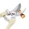 Stainless Steel Pruning Shears For Fruit Trees And Garden Branch Trimming 3