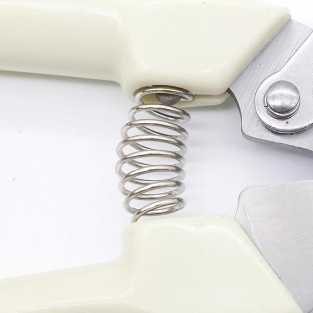 Stainless Steel Pruning Shears For Fruit Trees And Garden Branch Trimming 4