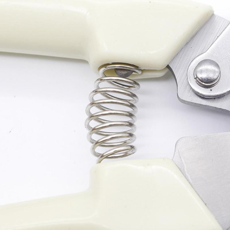 Stainless Steel Pruning Shears For Fruit Trees And Garden Branch Trimming 4