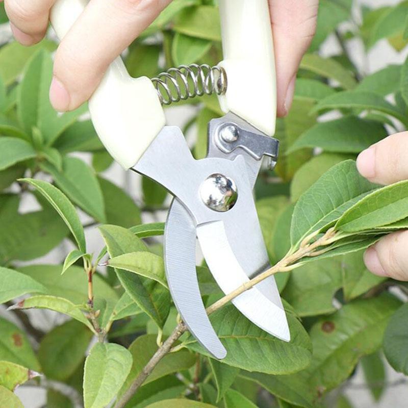 Stainless Steel Pruning Shears For Fruit Trees And Garden Branch Trimming 5