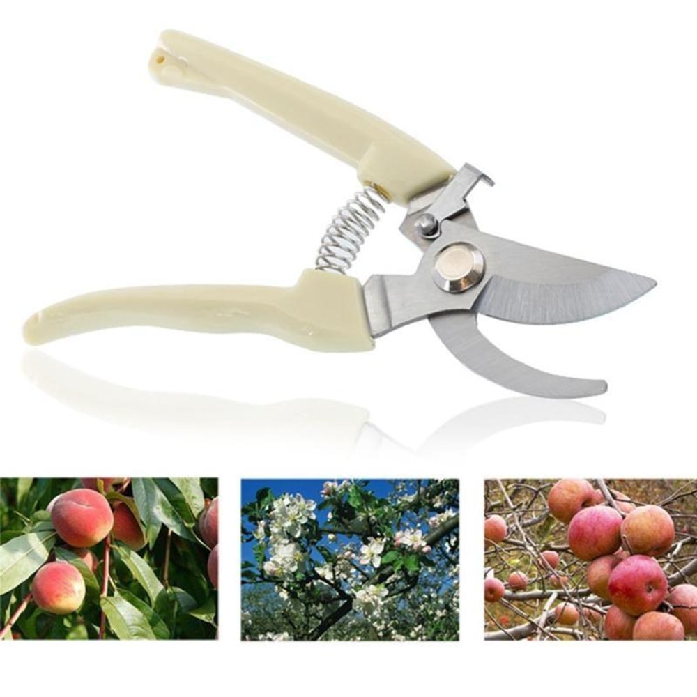 Stainless Steel Pruning Shears For Fruit Trees And Garden Branch Trimming 6