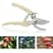 Stainless Steel Pruning Shears For Fruit Trees And Garden Branch Trimming 6