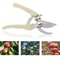 Stainless Steel Pruning Shears For Fruit Trees And Garden Branch Trimming 6