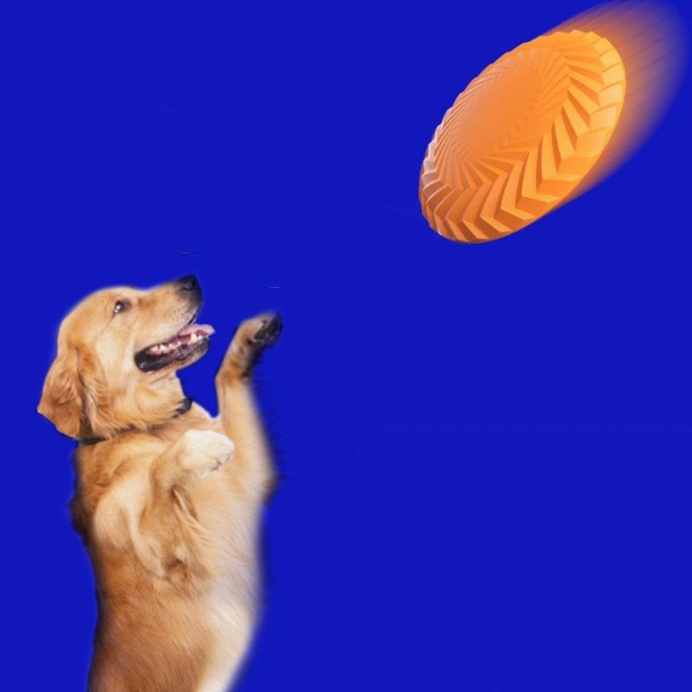 Interactive Bite Resistant Floating Dog Frisbee Toy for Training, Fetch & Outdoor Play TPR Flying Disc