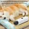 Quiet Pet Nail Grinder With LED Light For Dogs And Cats USB Rechargeable Grooming Tool 7