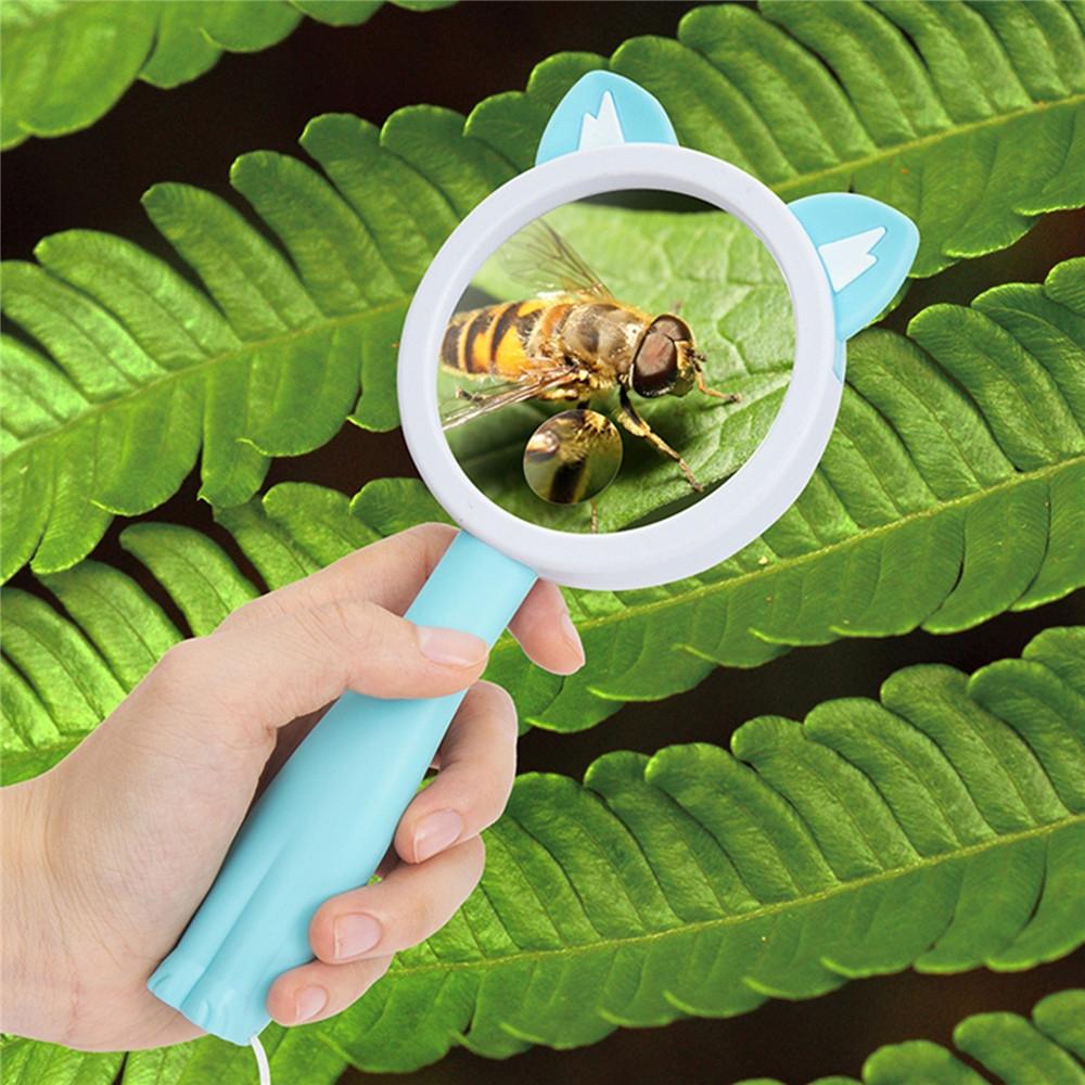 Cartoon Frog Kids Magnifying Glass Handheld Science Experiment Magnifier Toy 7