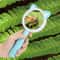 Cartoon Frog Kids Magnifying Glass Handheld Science Experiment Magnifier Toy 7