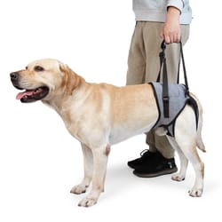 dog lift harness for back legs, dog mobility support harness for senior & injured dogs