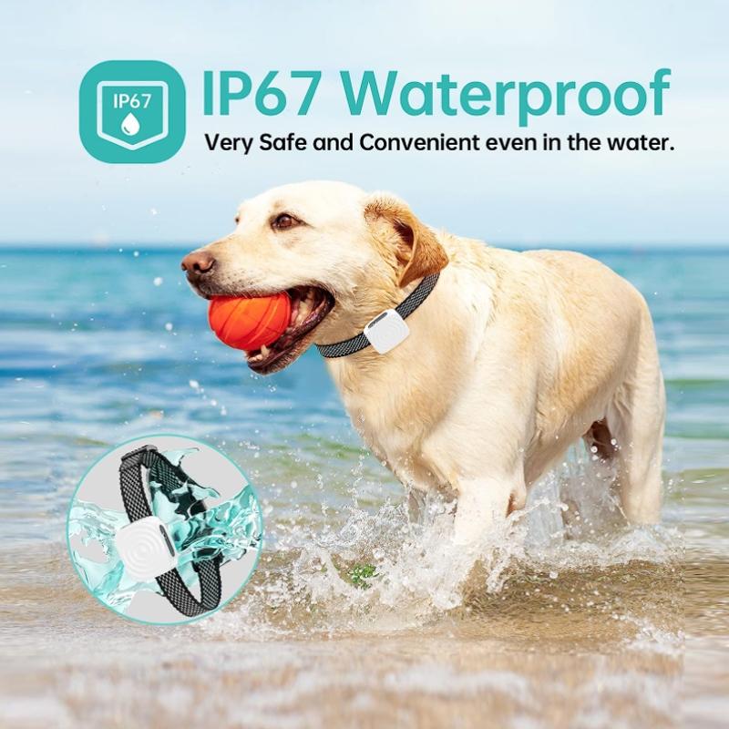 Smart Waterproof Bark Control Collar For Small Dogs With Adjustable Vibration Training 5