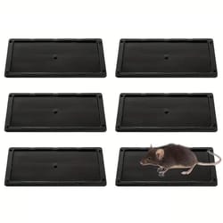 sticky mouse traps non-toxic rodent glue boards indoor pest control pads