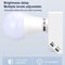 Smart Motion Sensor Light Socket Adapter For LED Bulbs 4