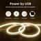 USB Powered Flexible Neon LED Light Strip 2m Waterproof Silicone Ambient Lighting 5