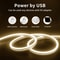 USB Powered Flexible Neon LED Light Strip 2m Waterproof Silicone Ambient Lighting 5