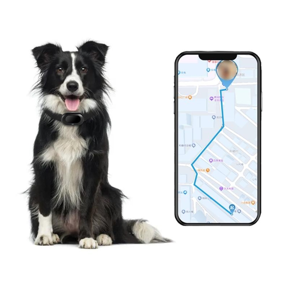 Smart GPS Pet Tracker Collar Waterproof IP67 Real Time Location Anti Loss Device 2