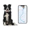 Smart GPS Pet Tracker Collar Waterproof IP67 Real Time Location Anti Loss Device 2