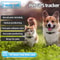Smart GPS Pet Tracker Collar Waterproof IP67 Real Time Location Anti Loss Device 3