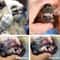 Dog Dental Tartar Remover Tool Stainless Steel Pet Teeth Cleaner Scraper