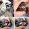Dog Dental Tartar Remover Tool Stainless Steel Pet Teeth Cleaner Scraper