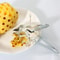 Stainless Steel Pineapple Eye Remover Tool Set 3PCS Non Slip Fruit Corer Digger