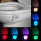 Motion Activated Toilet Night Light with 8 Color LED Bathroom Sensor Light