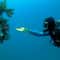 AquaBeam IP68 Diving Flashlight For Underwater Fishing Boating Outdoor Adventures 6
