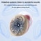 Invisible Rechargeable Hearing Aids For Seniors With Noise Reduction Digital Charging Case 11