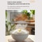 Smart 2L Electric Rice Cooker with Color Screen, 10 Preset Menus & 24H Timer