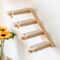 Wall Mounted Cat Climbing Wall With Sisal Steps MultiLevel Wooden Cat Shelves 1
