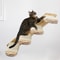 Wall Mounted Cat Climbing Wall With Sisal Steps MultiLevel Wooden Cat Shelves 0