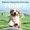800M Dog Training Collar With Remote Waterproof Rechargeable Bark Control For Small To Large Dogs 4