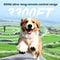 800M Dog Training Collar With Remote Waterproof Rechargeable Bark Control For Small To Large Dogs 4