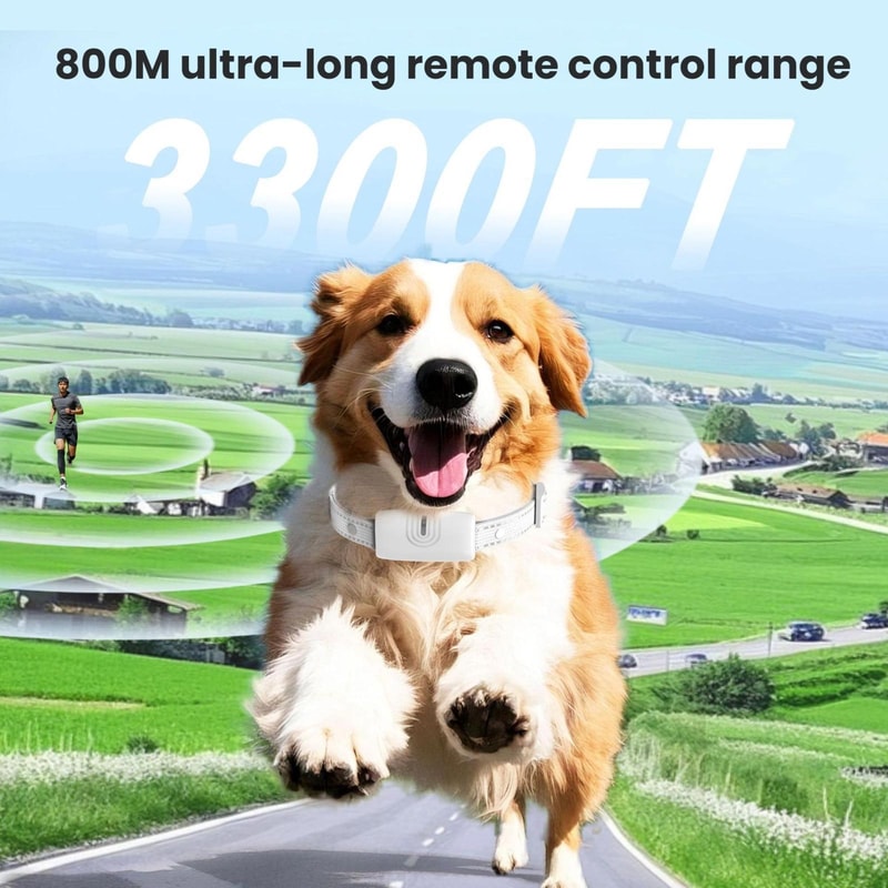 800M Dog Training Collar With Remote Waterproof Rechargeable Bark Control For Small To Large Dogs 4