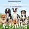 800M Dog Training Collar With Remote Waterproof Rechargeable Bark Control For Small To Large Dogs 5