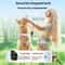 800M Dog Training Collar With Remote Waterproof Rechargeable Bark Control For Small To Large Dogs 6