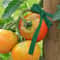 30m Biodegradable Garden Plant Support Rope for Trees, Vines & Climbing Plants