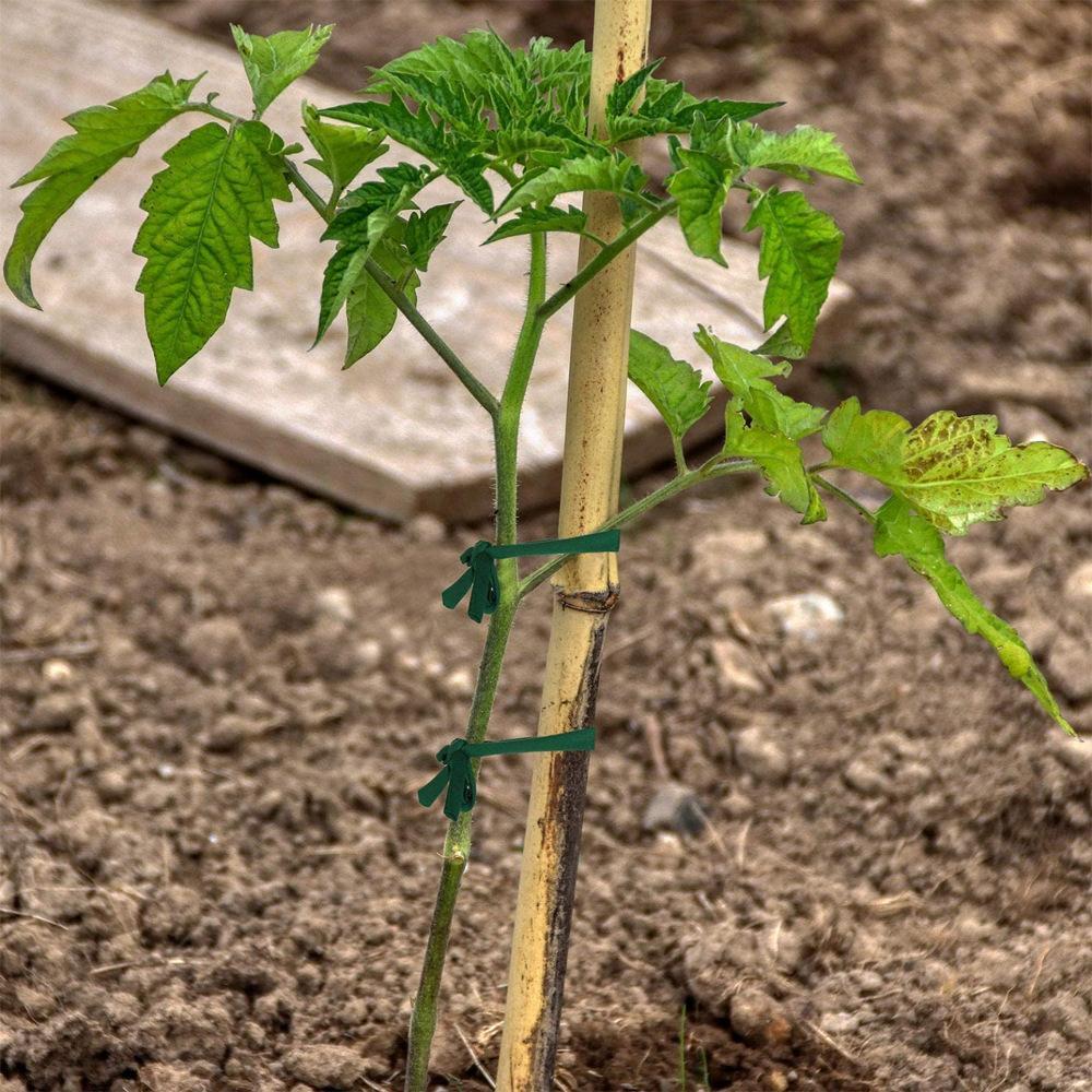 30m Biodegradable Garden Plant Support Rope for Trees, Vines & Climbing Plants