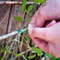 30m Biodegradable Garden Plant Support Rope for Trees, Vines & Climbing Plants