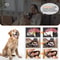 Ultrasonic Pet Teeth Cleaner Kit For Dogs Cats Plaque And Tartar Remover 7