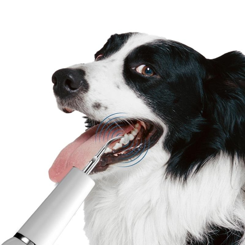 Ultrasonic Dog Teeth Cleaner USB Rechargeable Pet Dental Cleaner For Plaque Tartar Removal 1