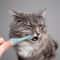 DualSided Pet Toothbrush Set For Cats Dogs Soft Silicone Dog Toothbrush Cleaner 2
