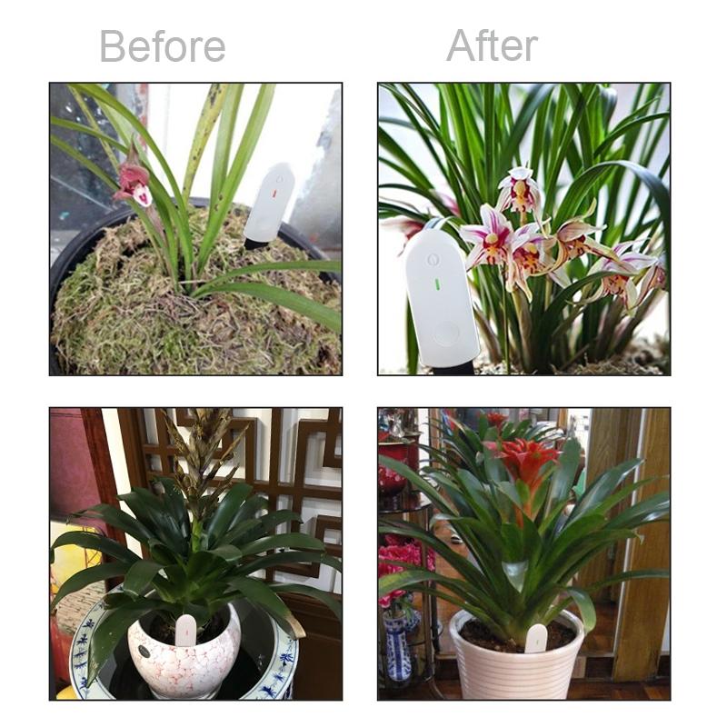 Smart Soil Moisture Meter for Plants & Gardens with Real-Time Water Monitoring