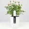 Smart Soil Moisture Meter for Plants & Gardens with Real-Time Water Monitoring