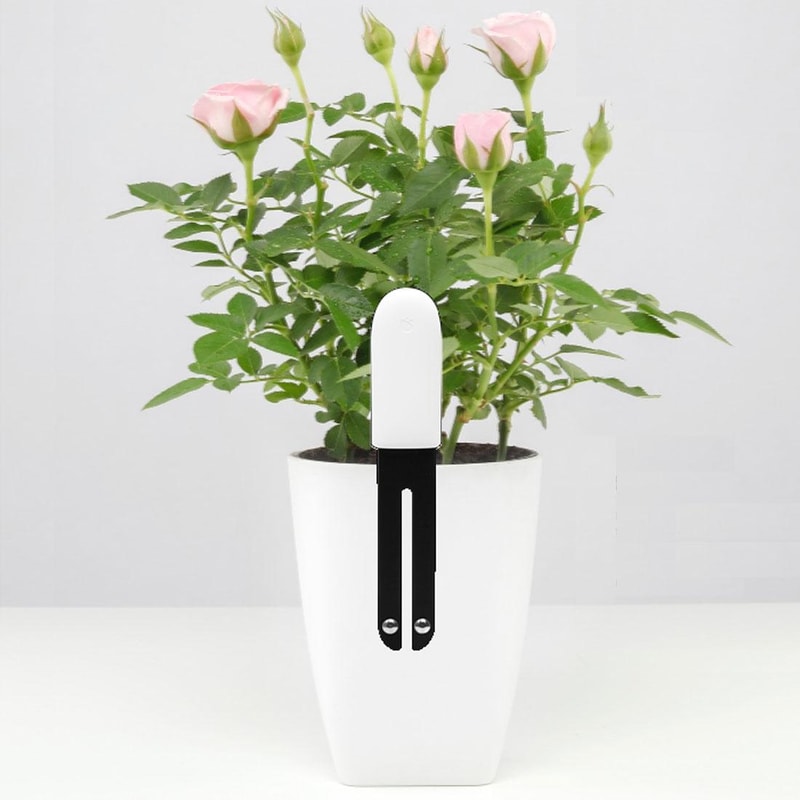 Smart Soil Moisture Meter for Plants & Gardens with Real-Time Water Monitoring