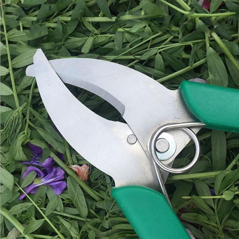 Precision Fruit Tree Grafting Bark Stripping Shears For Garden Pruning 2