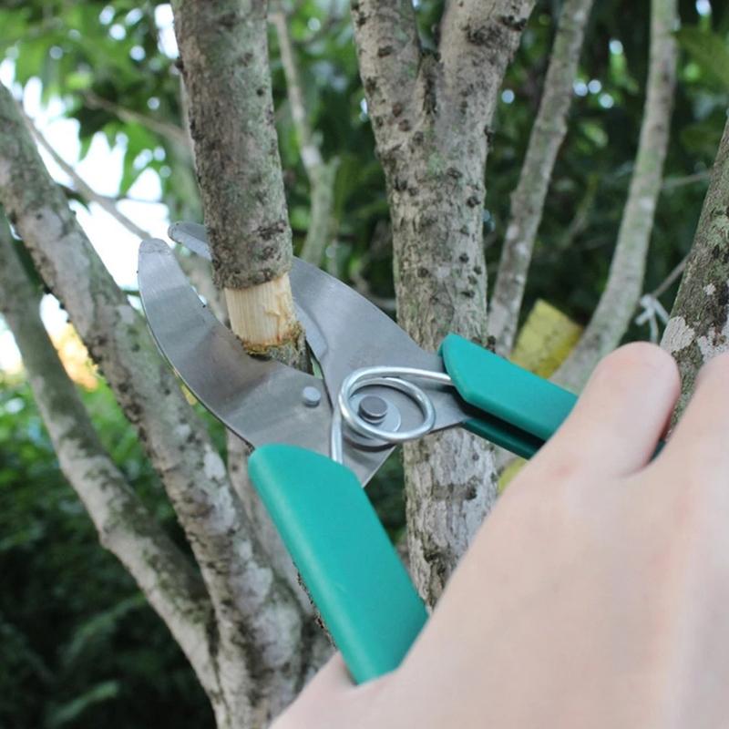 Precision Fruit Tree Grafting Bark Stripping Shears For Garden Pruning 3