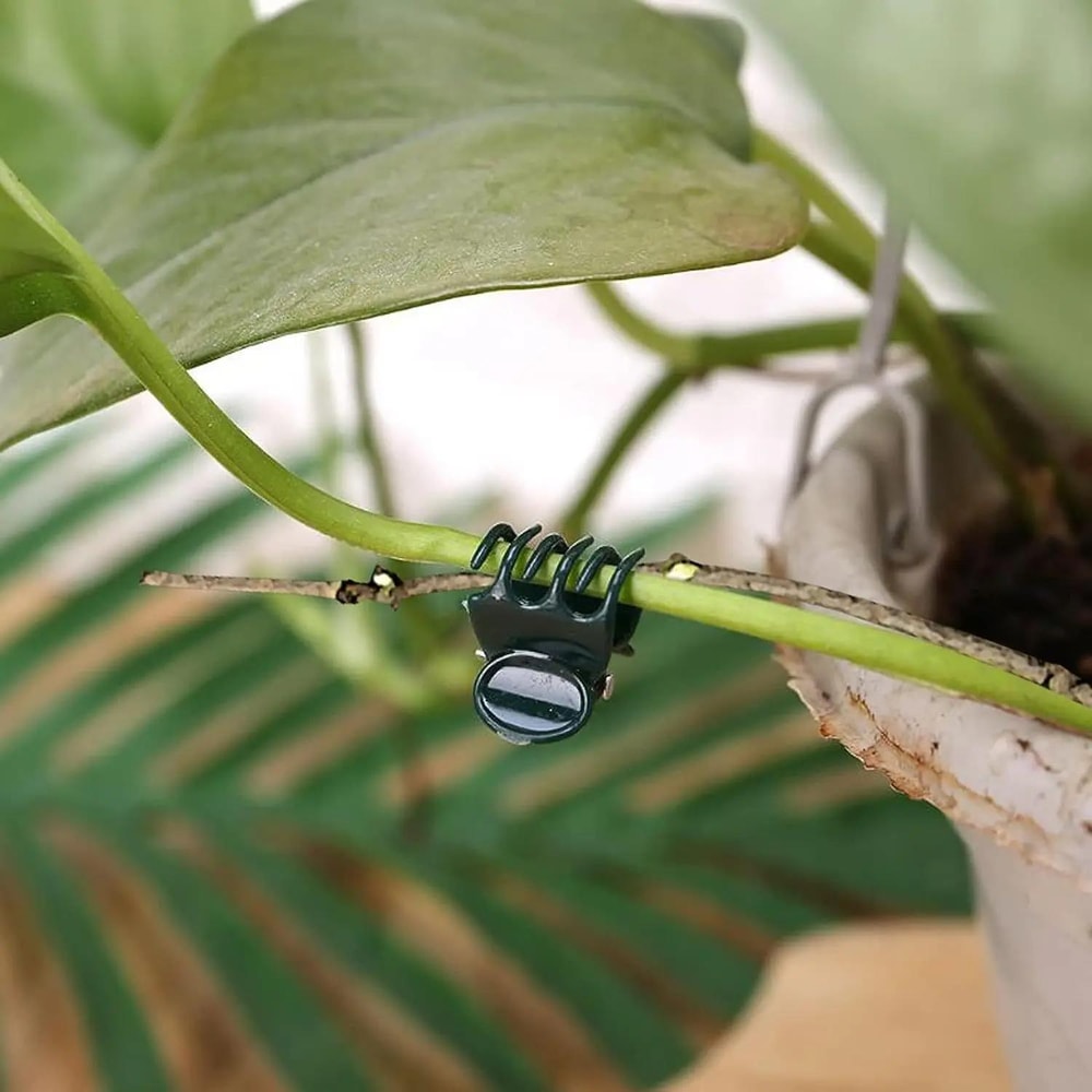 50PCS Plant Support Clips for Climbing Vines, Tomatoes & Garden Plant Training