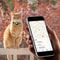 Rainbow Gradient AirTag Cat Collar With Bell Waterproof Silicone Tracker Holder 1